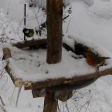 photo 2019-01-05 14-14-35