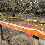 photo 2021-04-08 16-28-58