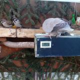 photo 2021-02-15 07-54-22