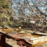 photo 2022-03-22 13-38-12