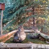 photo 2023-10-14 08-01-16