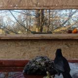 photo 2022-01-24 14-56-54