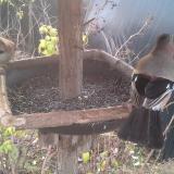 photo 2019-12-19 09-31-12