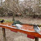 photo 2021-03-25 09-24-44