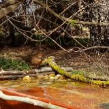 photo 2021-04-03 13-16-56 rigo