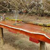 photo 2021-03-30 13-28-19