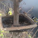 photo 2019-12-23 09-36-10