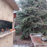 photo 2021-12-28 14-28-41