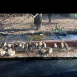 photo 2021-11-30 11-50-35