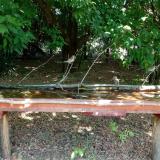 photo 2021-07-04 11-48-29