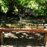 photo 2021-05-10 10-15-38