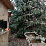 photo 2021-12-18 14-10-34