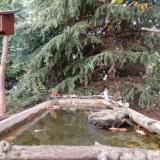 photo 2023-10-13 17-16-27