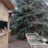 photo 2021-12-22 14-08-26