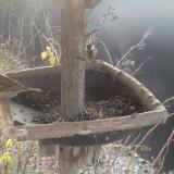 photo 2019-12-29 09-07-12