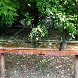 photo 2021-05-25 10-36-42