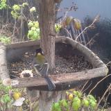 photo 2019-12-09 10-37-11