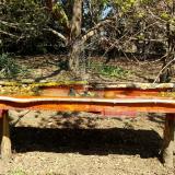 photo 2021-04-10 12-02-10