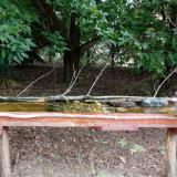 photo 2021-08-23 08-31-38