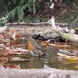 photo 2023-10-09 15-39-31