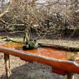 photo 2021-03-26 08-28-09