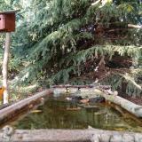 photo 2023-10-11 15-45-11 