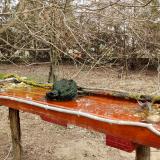 photo 2021-03-22 10-44-16