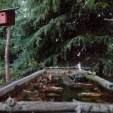 photo 2023-10-09 18-06-30