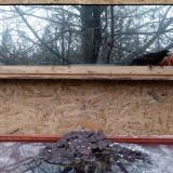 photo 2022-01-20 15-23-17