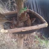 photo 2019-02-14 14-04-42