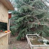 photo 2021-12-26 12-57-32