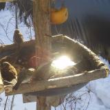 photo 2019-01-27 10-10-40