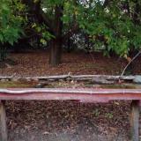 photo 2021-10-04 18-26-58