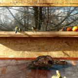 photo 2022-01-22 12-10-15