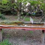 photo 2021-04-24 18-57-32