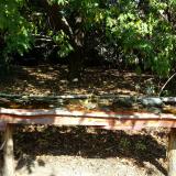 photo 2021-10-02 11-48-47