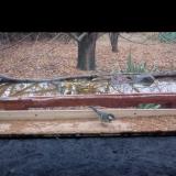 photo 2021-11-22 12-00-48