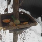 photo 2019-01-23 11-02-59