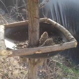 photo 2019-03-01 10-20-17