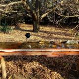 photo 2021-10-27 09-28-19