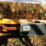 photo 2021-02-18 14-53-00