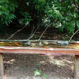 photo 2021-07-26 11-12-29