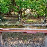 photo 2021-05-09 06-16-25