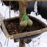 photo 2019-01-09 13-24-24