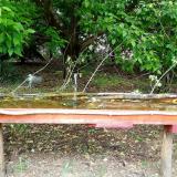 photo 2021-05-13 12-38-10