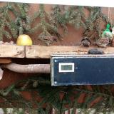 photo 2021-02-03 13-32-27