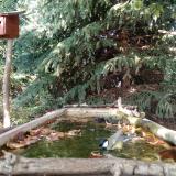 photo 2023-10-04 15-34-59