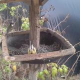 photo 2019-12-13 13-10-32