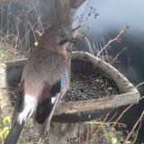 photo 2019-12-25 09-23-06