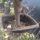 photo 2019-12-08 12-08-56